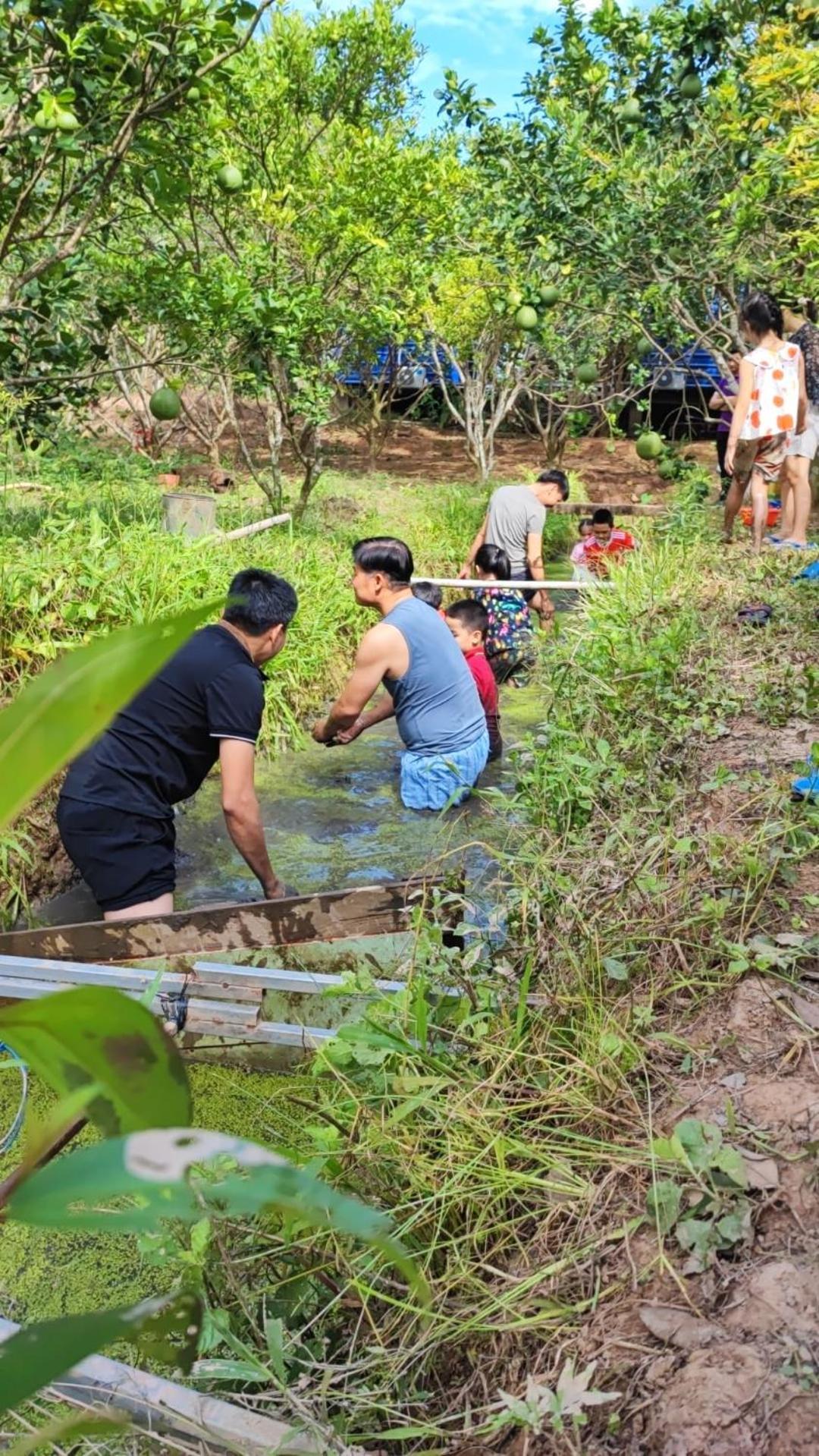 Con Phung Resort Mekong - Nature Escape With Free Boat Shuttle & Fishing Ben Tre Buitenkant foto